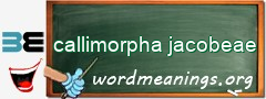 WordMeaning blackboard for callimorpha jacobeae